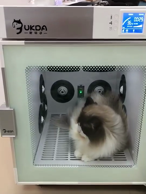 欧科达宠物烘干机