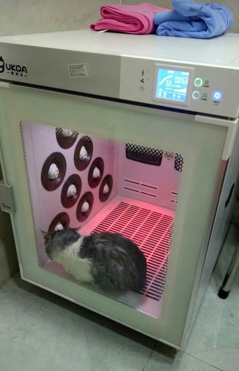 猫咪烘干 欧科达ukda宠物烘干机