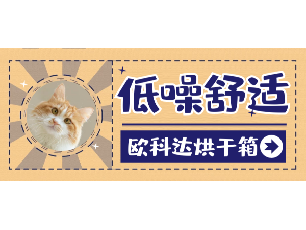 火速安排！安全又低噪的「猫咪烘干箱」，原来这么好用！