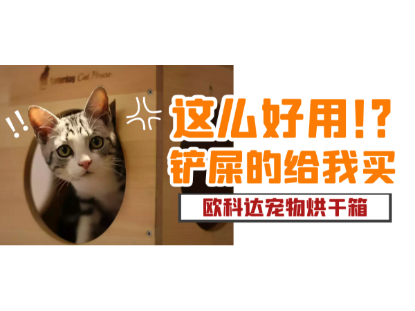 你相信猫咪会乖乖吹干吗？反正用了它之后，我信了！