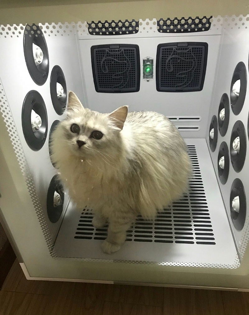 欧科达猫咪烘干机