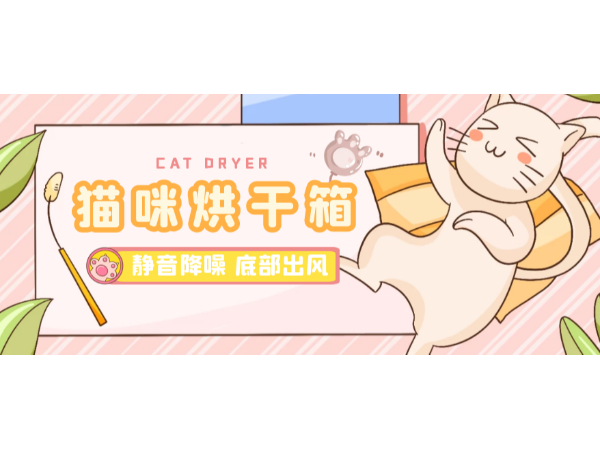 这是什么神仙猫咪烘干箱，噪音竟这么小！