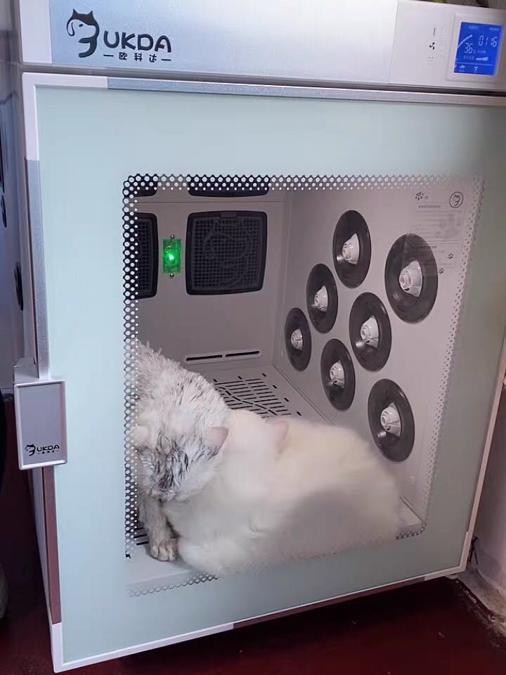 欧科达宠物烘干机