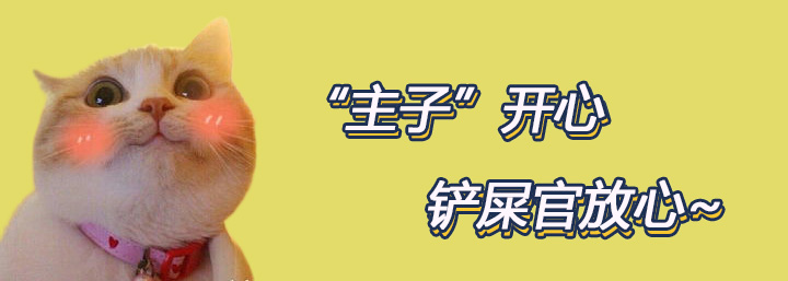 “主子”开心铲屎官放心 欧科达宠物烘干机