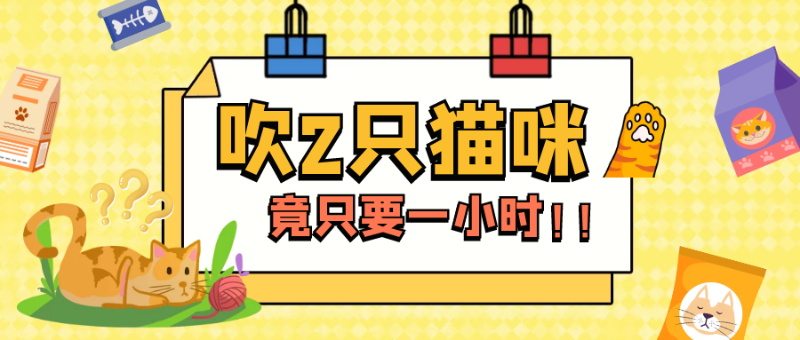 欧科达宠物烘干箱
