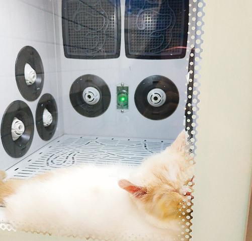 猫咪 欧科达ukda 宠物烘干机