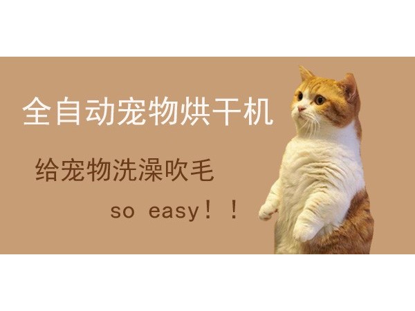 有了它，给宠物洗澡吹毛so easy！