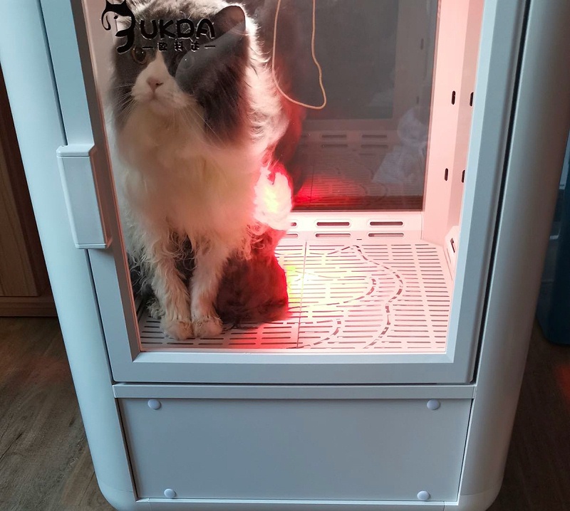 猫咪 宠物烘干箱