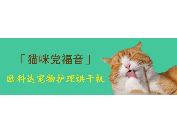 欧科达宠物护理烘干机，猫咪们党福音！